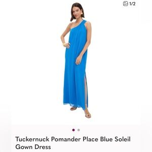 Tuckernuck Blue Soleil Gown Dress